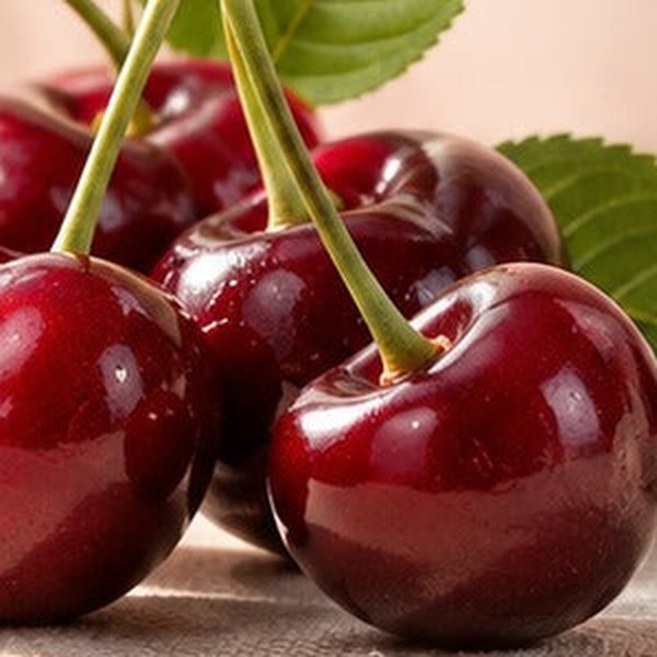 Montmorency tart cherry